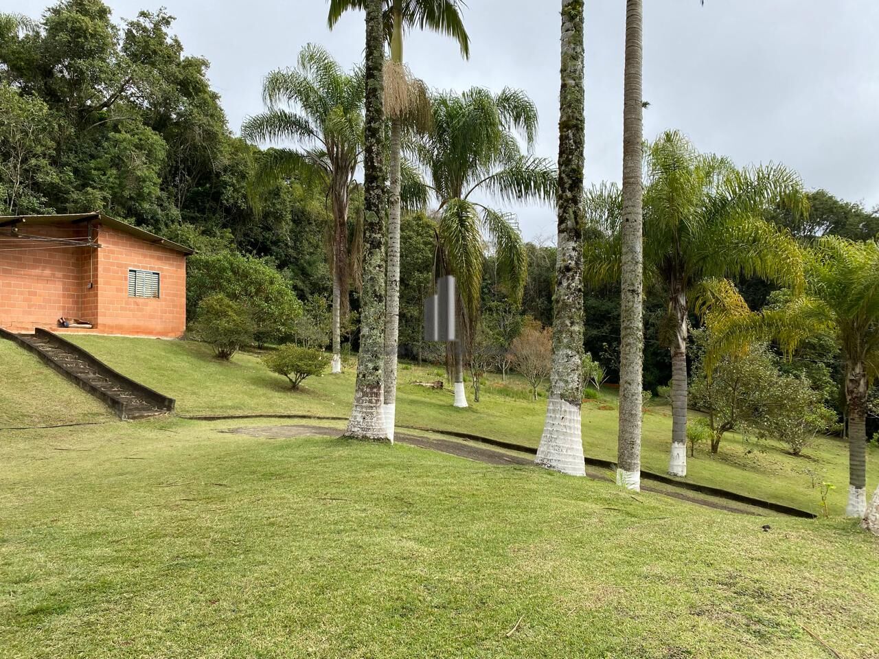 Sítio à venda com 4 quartos, 30000m² - Foto 12