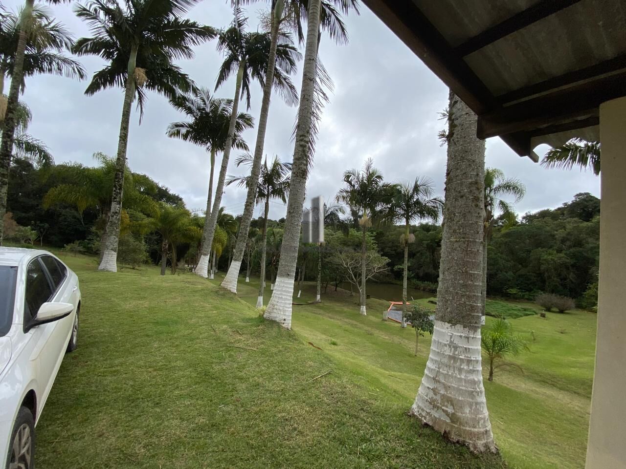 Sítio à venda com 4 quartos, 30000m² - Foto 10