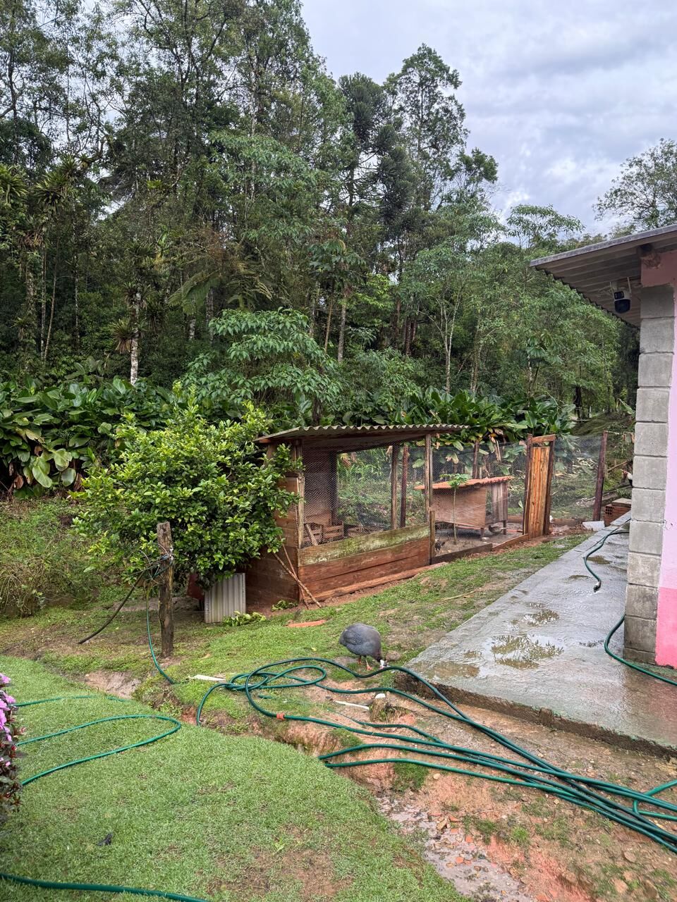 Sítio, 2 quartos, 6176 m² - Foto 43