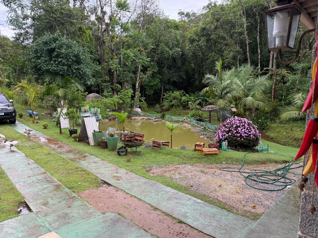 Sítio, 2 quartos, 6176 m² - Foto 3