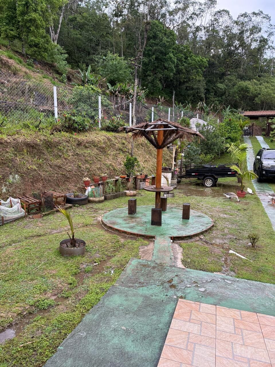 Sítio, 2 quartos, 6176 m² - Foto 9