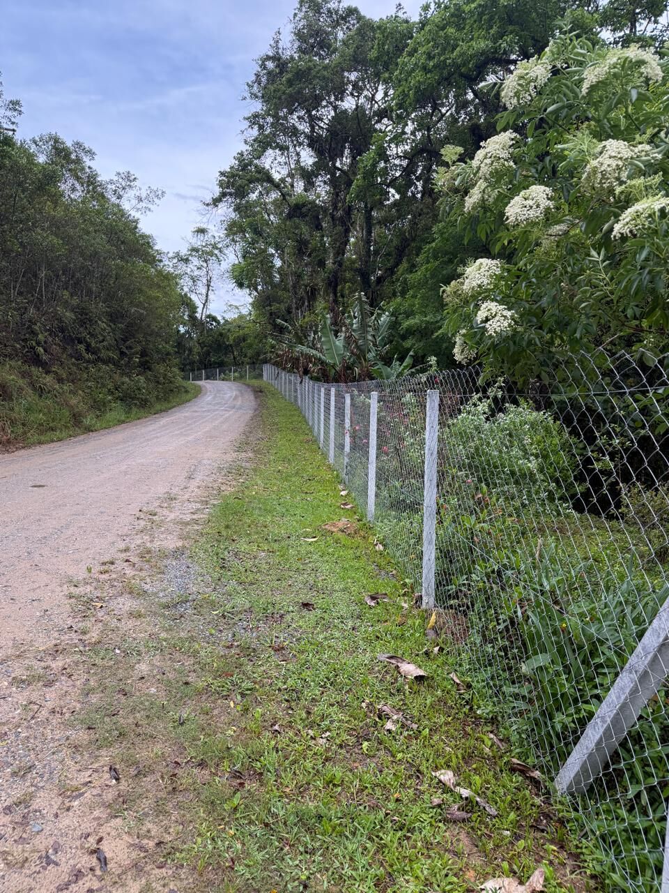 Sítio, 2 quartos, 6176 m² - Foto 45