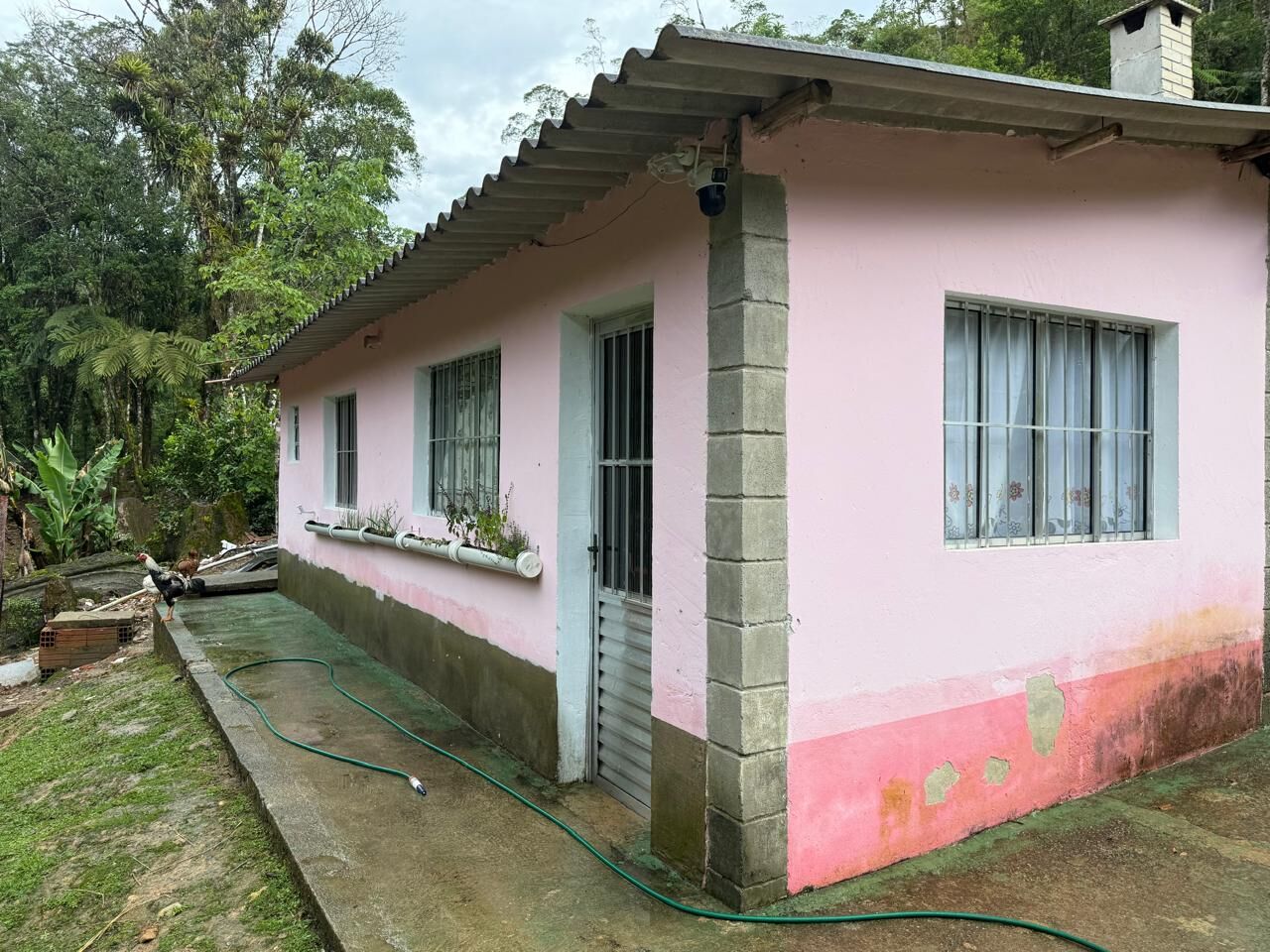 Sítio, 2 quartos, 6176 m² - Foto 41