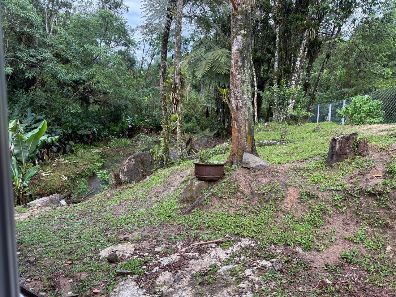 Sítio, 2 quartos, 6176 m² - Foto 30