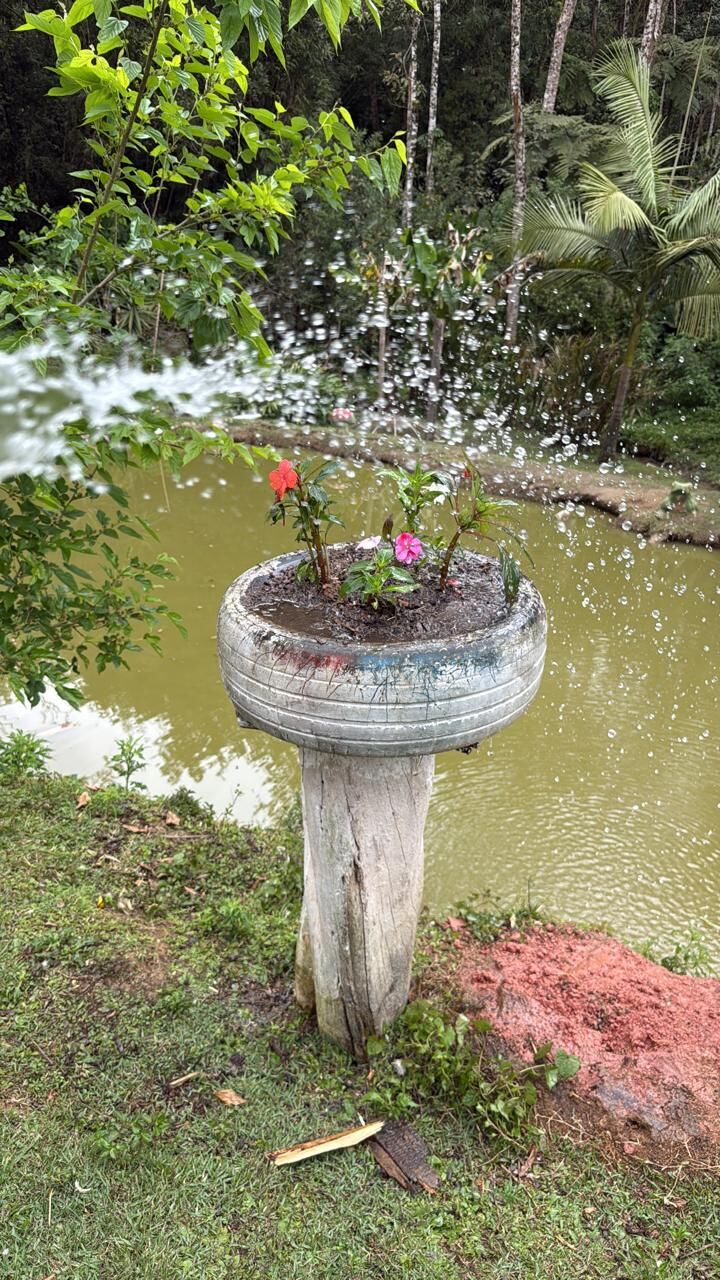 Sítio, 2 quartos, 6176 m² - Foto 48