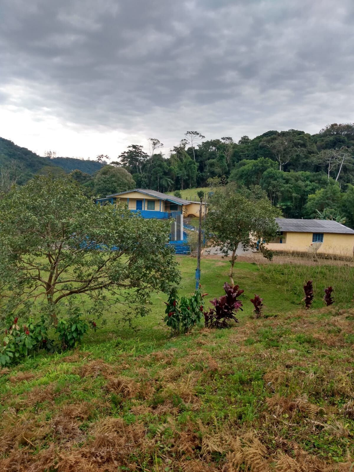 Sítio, 12 hectares - Foto 5