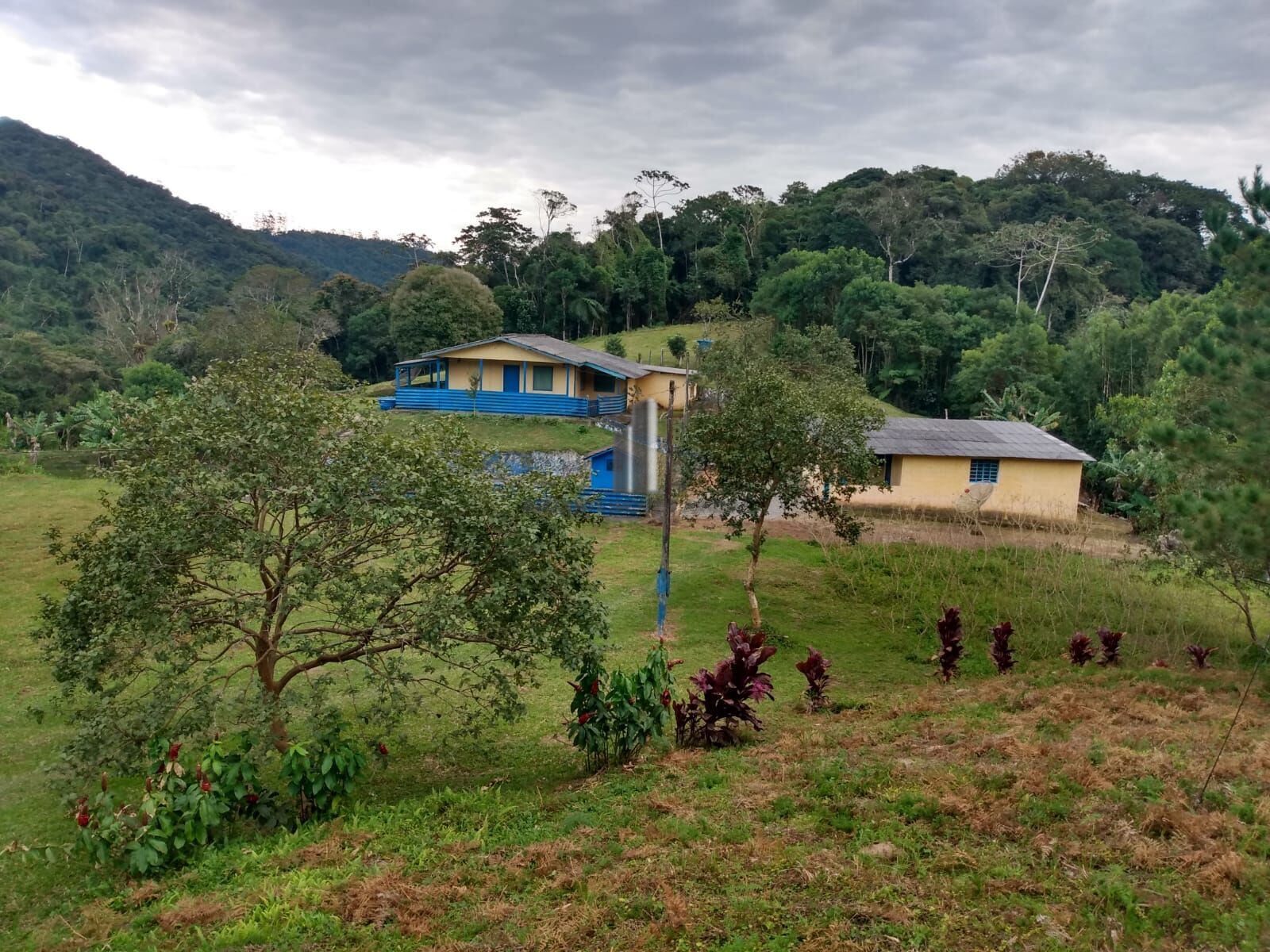 Sítio, 12 hectares - Foto 2