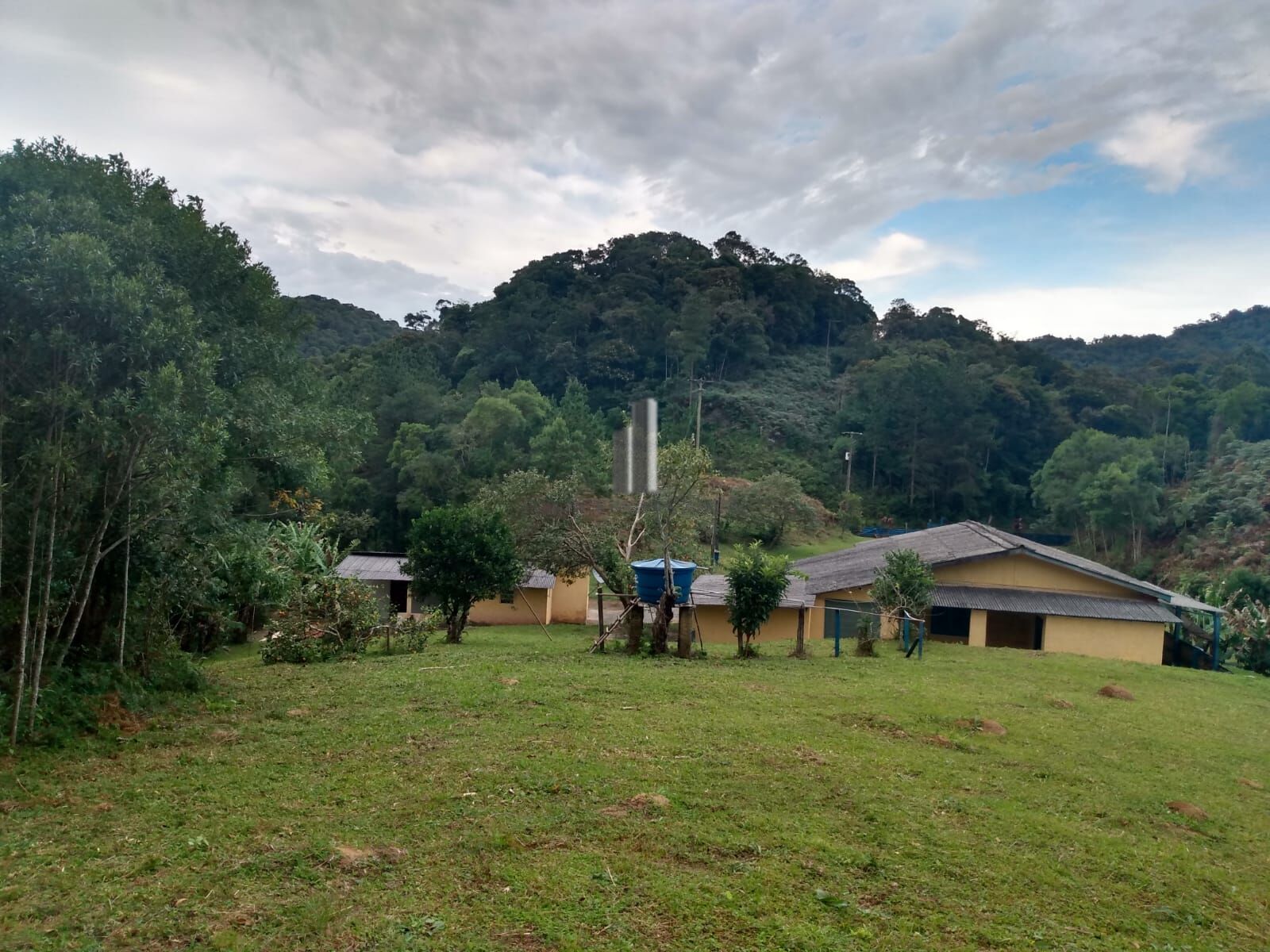 Sítio, 12 hectares - Foto 4