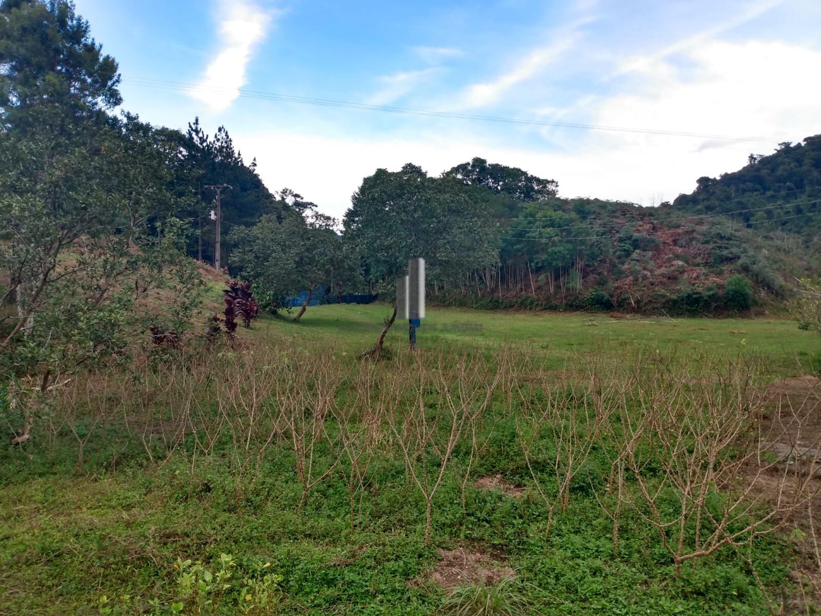 Sítio, 12 hectares - Foto 10