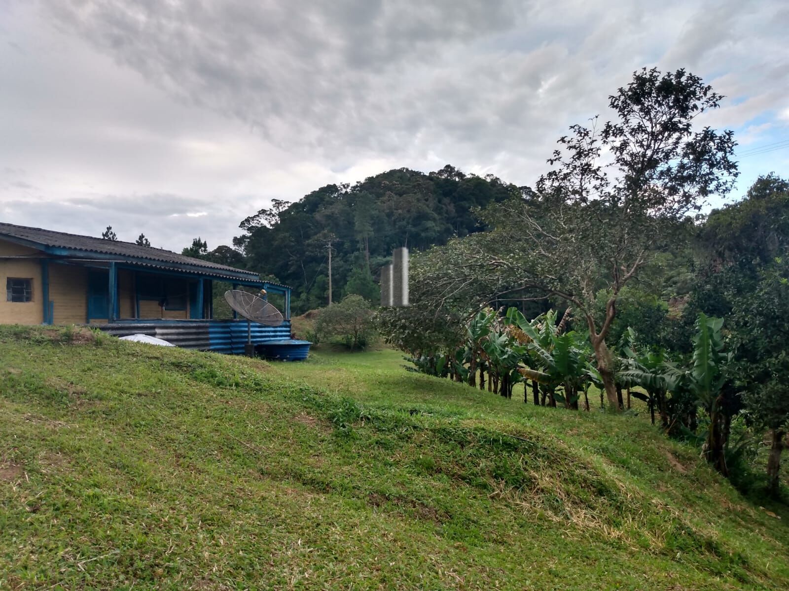 Sítio, 12 hectares - Foto 3