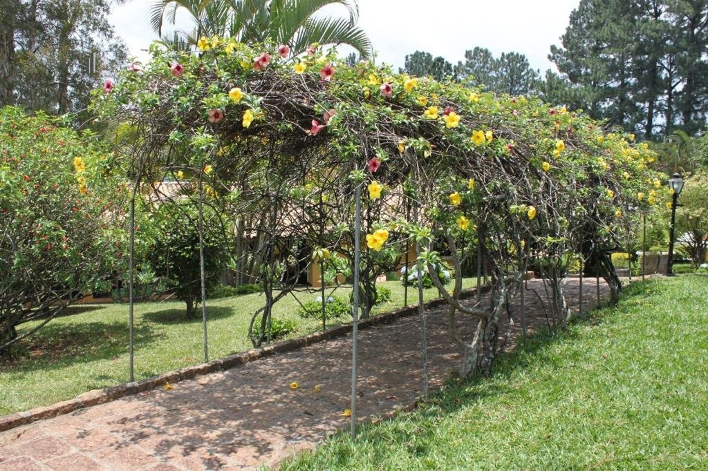 Fazenda à venda com 11 quartos, 17000m² - Foto 36