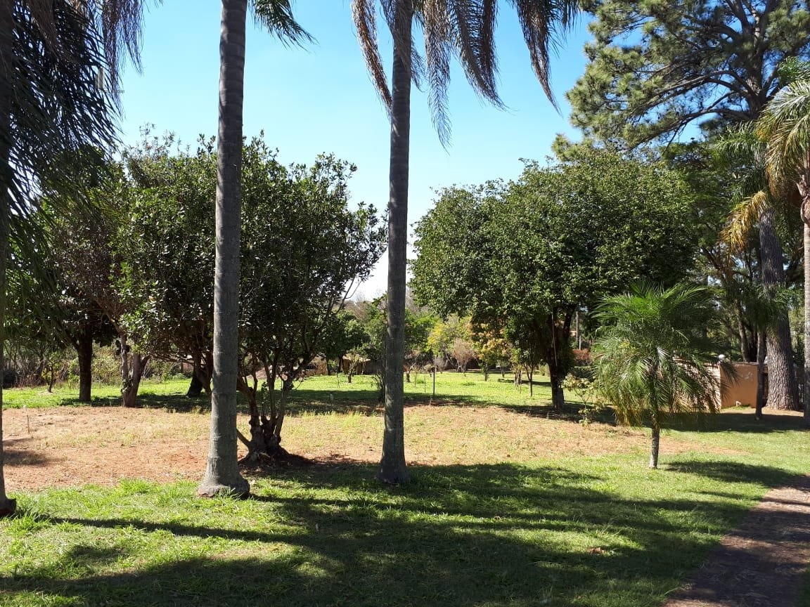 Fazenda à venda com 11 quartos, 17000m² - Foto 9