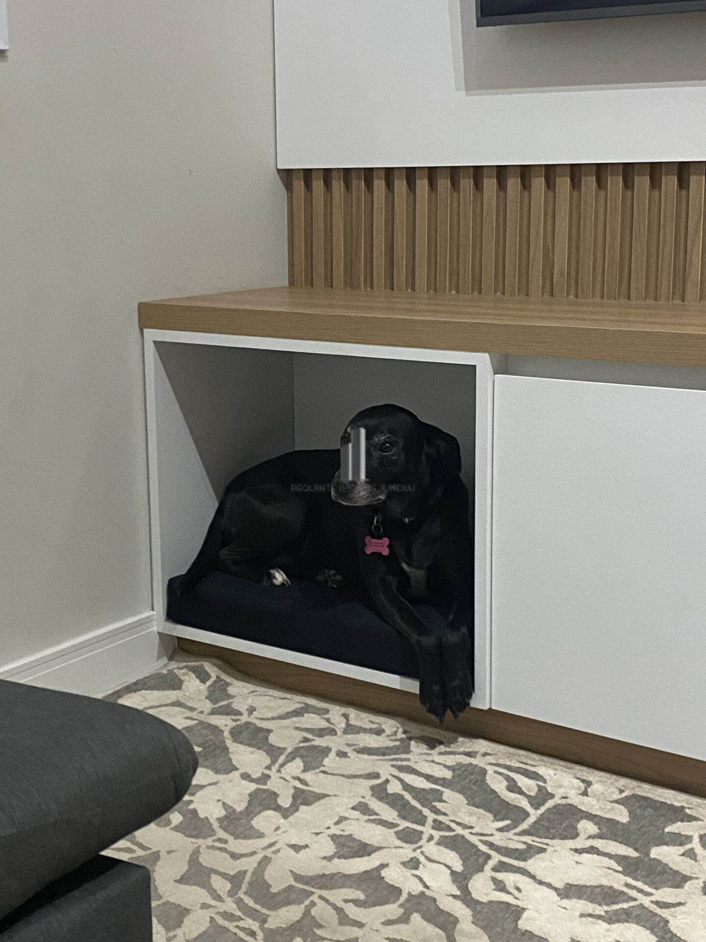 Apartamento, 3 quartos, 160 m² - Foto 14