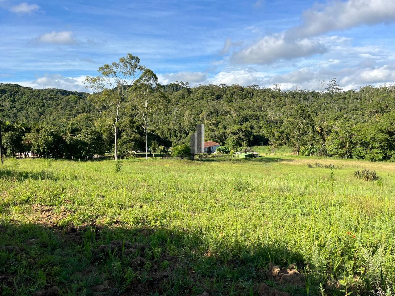 Sítio, 3 quartos, 13 hectares - Foto 10