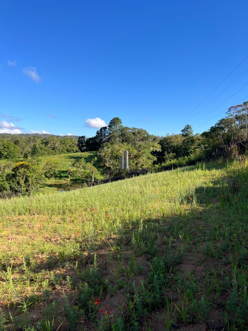 Sítio, 3 quartos, 13 hectares - Foto 34