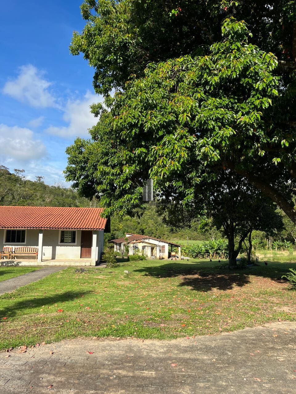 Sítio, 3 quartos, 13 hectares - Foto 13