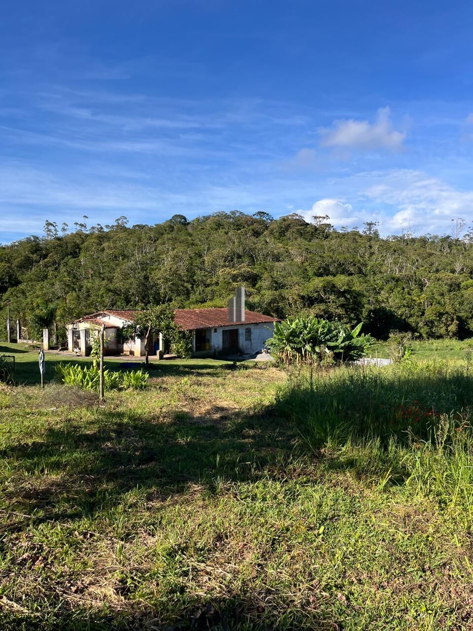 Sítio, 3 quartos, 13 hectares - Foto 14