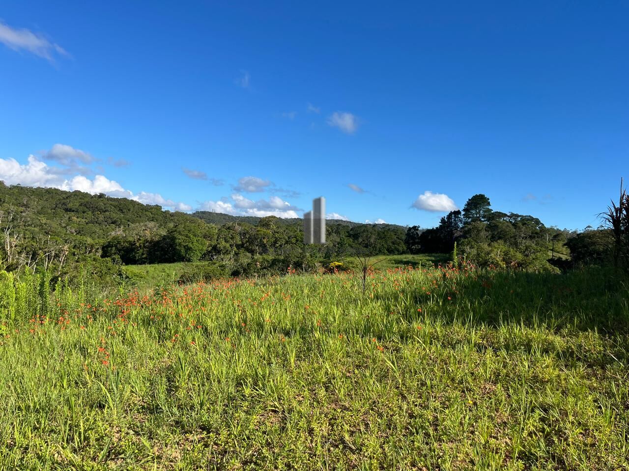 Sítio, 3 quartos, 13 hectares - Foto 12