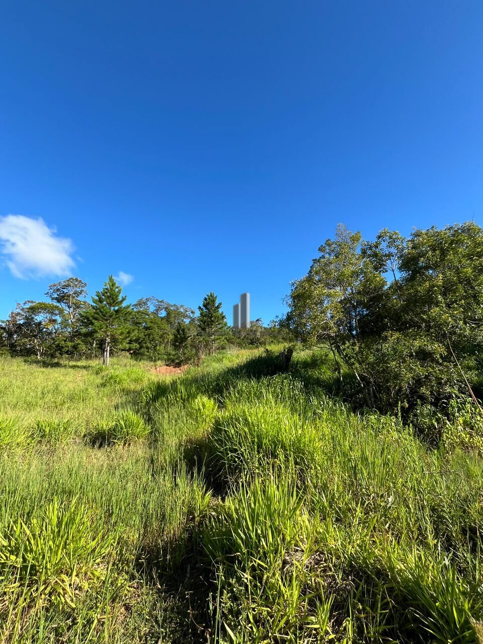 Sítio, 3 quartos, 13 hectares - Foto 31