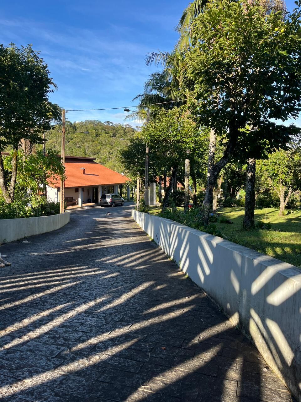 Sítio, 3 quartos, 13 hectares - Foto 35