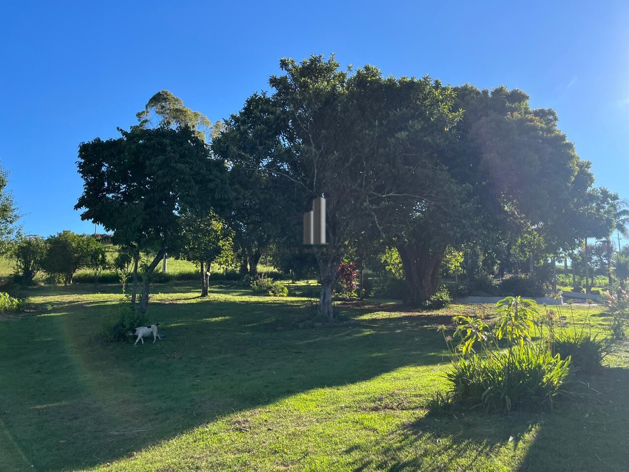 Sítio, 3 quartos, 13 hectares - Foto 30