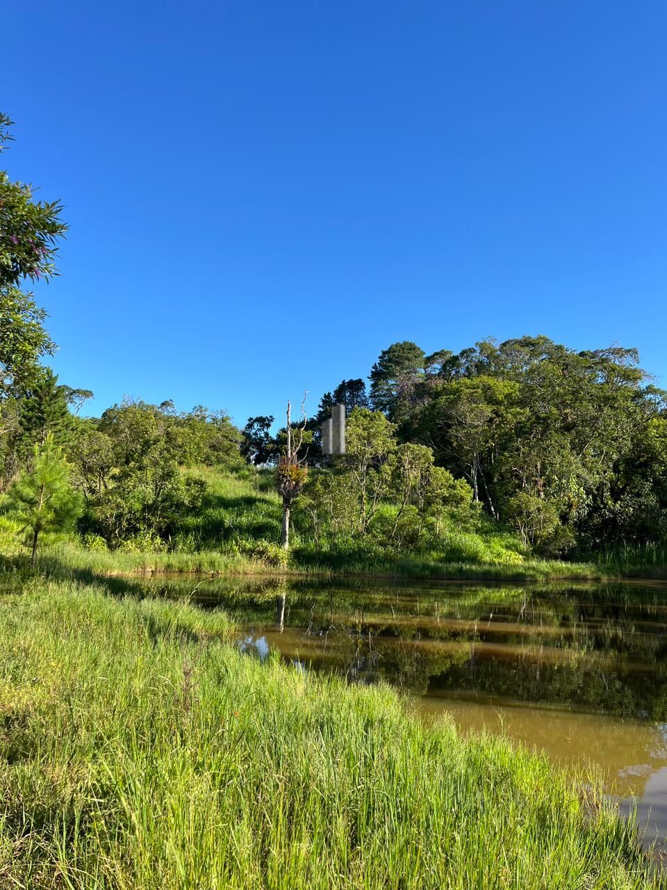 Sítio, 3 quartos, 13 hectares - Foto 29