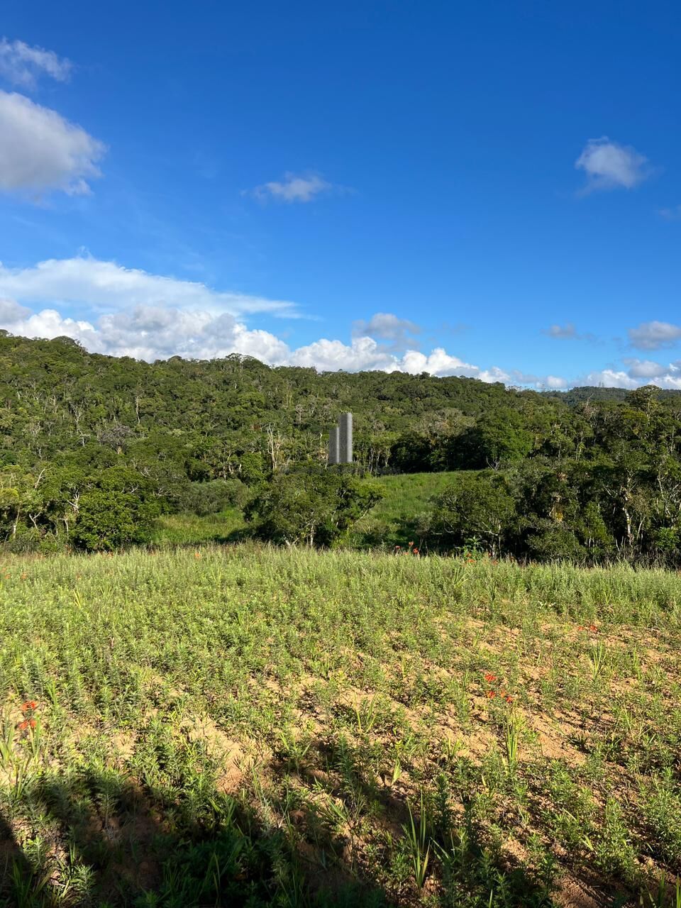 Sítio, 3 quartos, 13 hectares - Foto 15