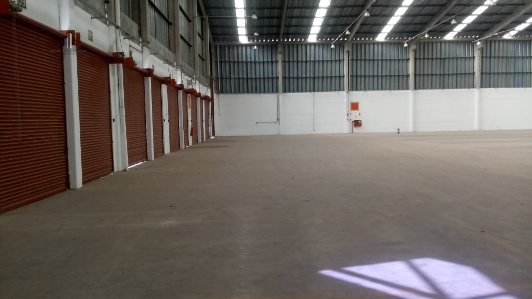 Depósito-Galpão-Armazém para alugar, 7300m² - Foto 5