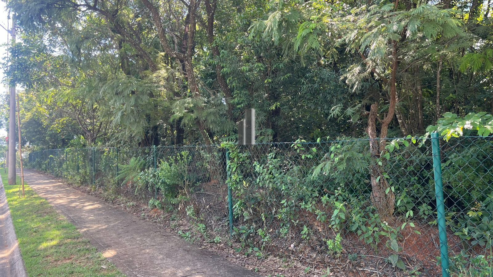 Terreno, 619 m² - Foto 6