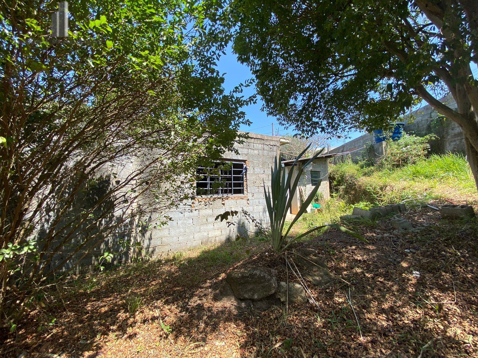 Fazenda à venda com 2 quartos, 15132m² - Foto 10