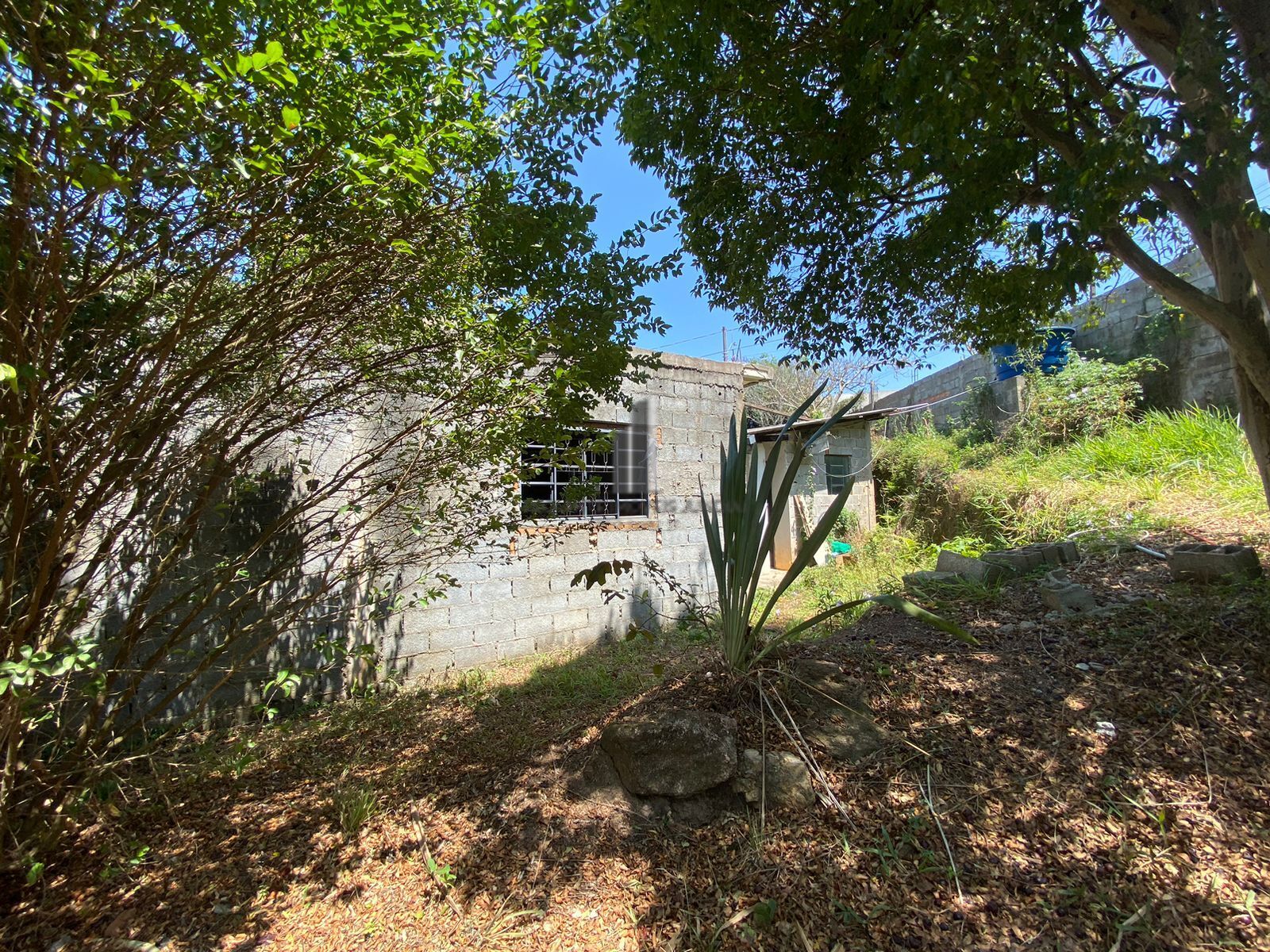 Fazenda à venda com 2 quartos, 15132m² - Foto 10