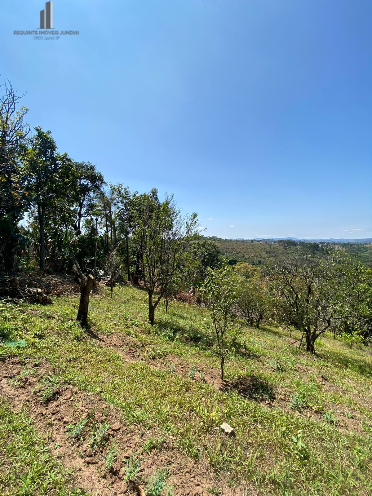 Fazenda à venda com 2 quartos, 15132m² - Foto 11