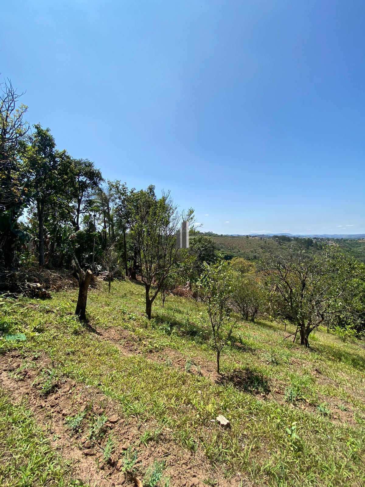 Fazenda à venda com 2 quartos, 15132m² - Foto 11