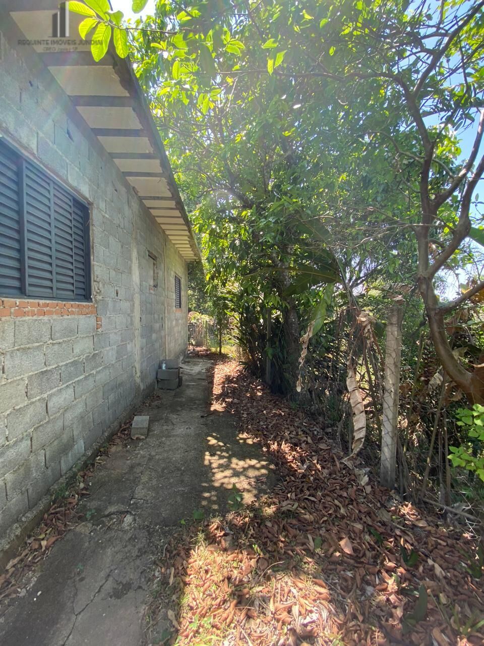 Fazenda à venda com 2 quartos, 15132m² - Foto 19