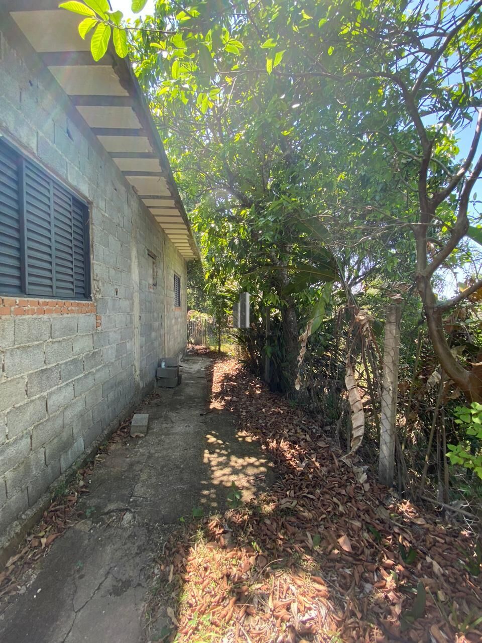 Fazenda à venda com 2 quartos, 15132m² - Foto 19