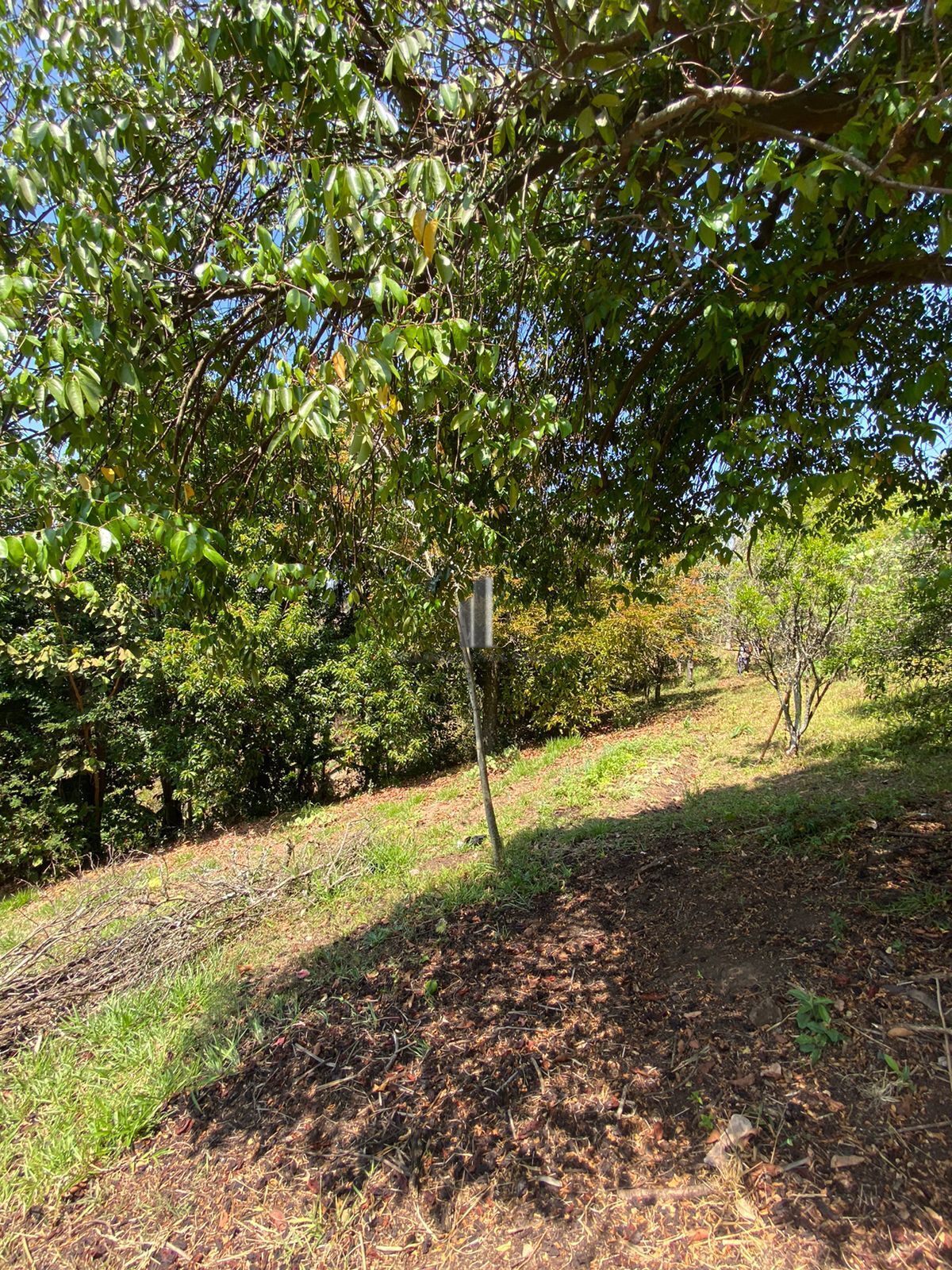 Fazenda à venda com 2 quartos, 15132m² - Foto 12