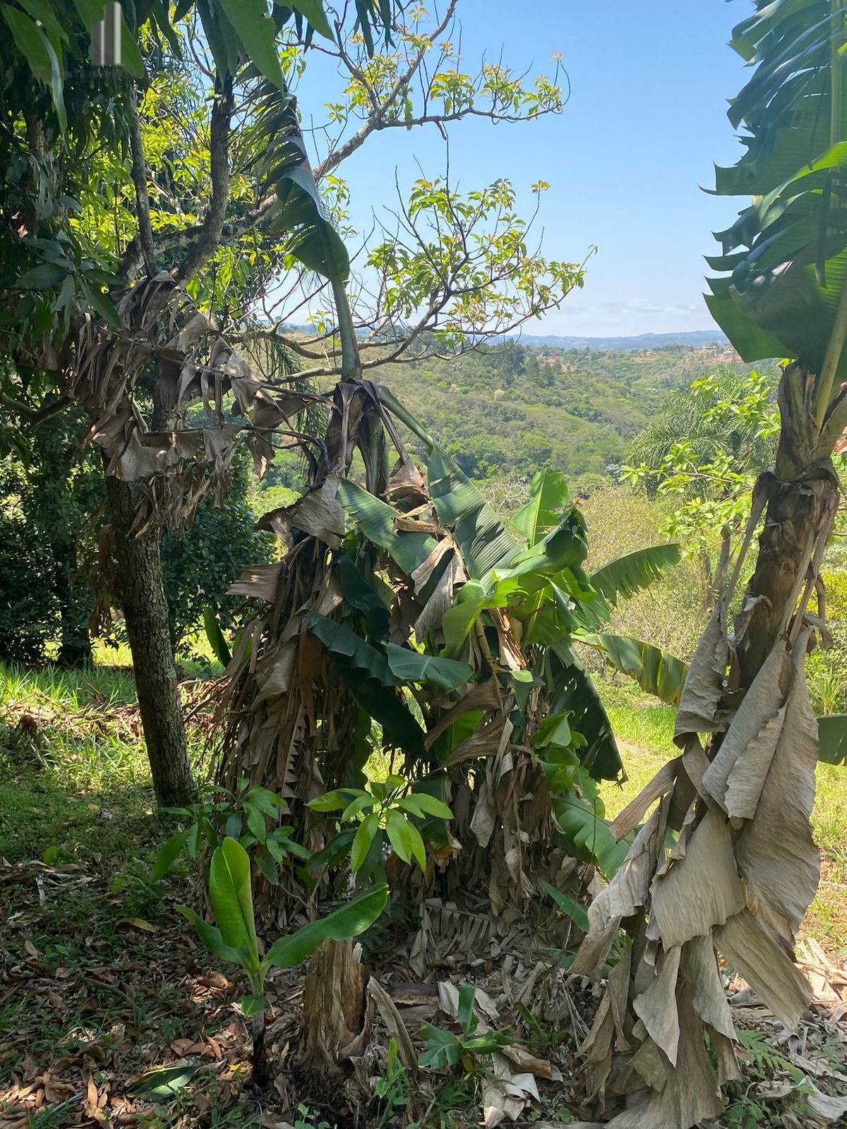 Fazenda à venda com 2 quartos, 15132m² - Foto 15