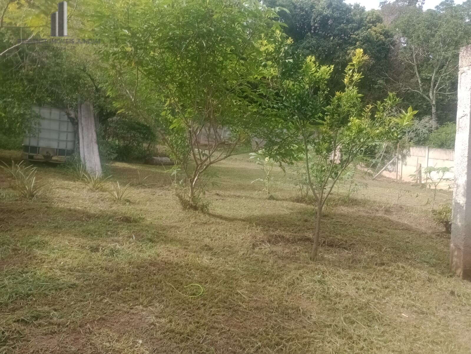 Fazenda à venda com 2 quartos, 1000m² - Foto 11