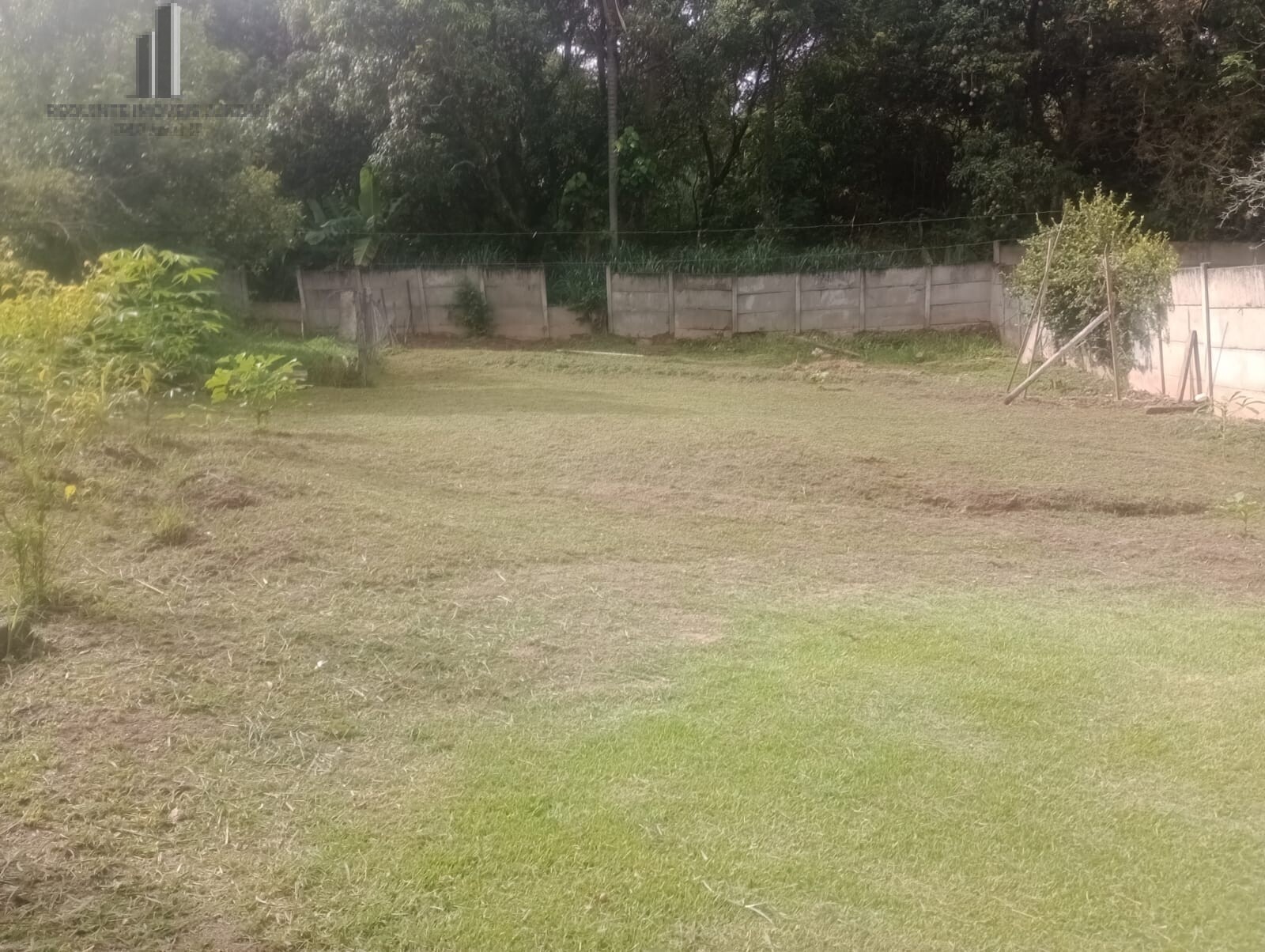 Fazenda à venda com 2 quartos, 1000m² - Foto 8