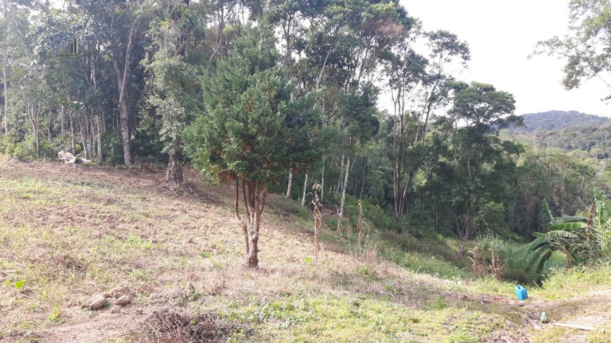 Fazenda à venda, 96800m² - Foto 17