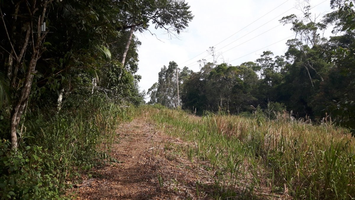 Fazenda à venda, 96800m² - Foto 10