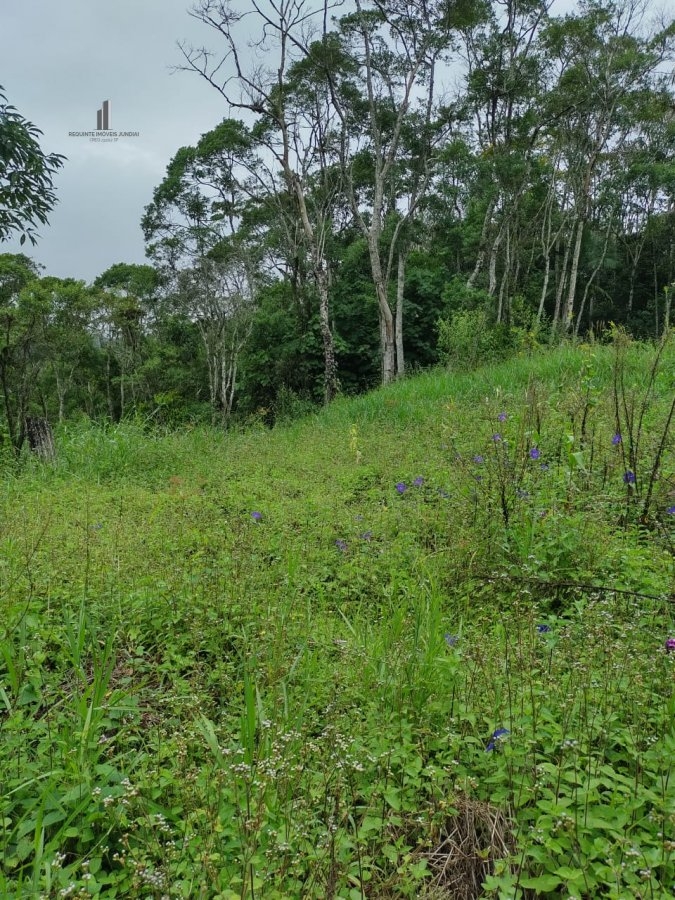 Fazenda à venda, 96800m² - Foto 20