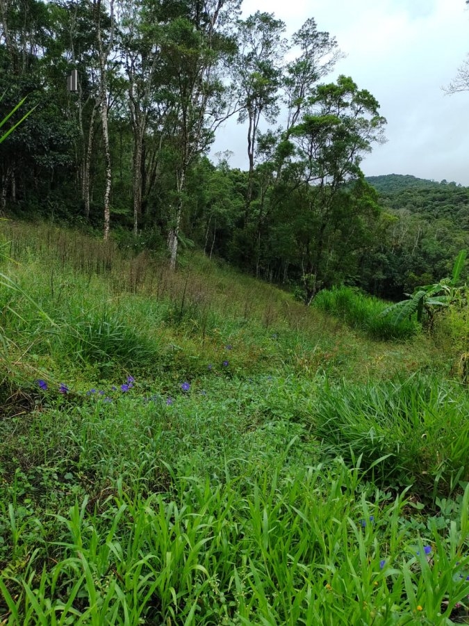 Fazenda à venda, 96800m² - Foto 27