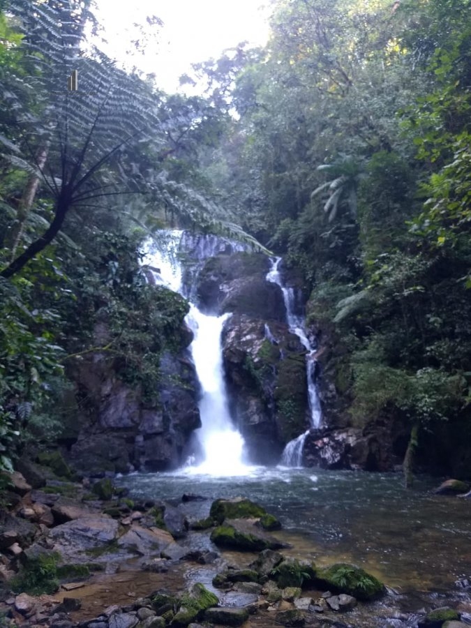 Fazenda à venda com 5 quartos, 30000m² - Foto 3