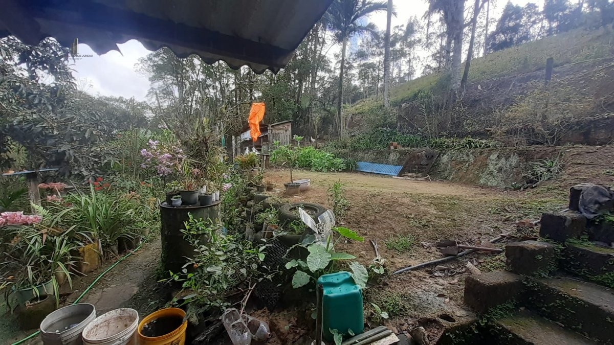 Fazenda à venda com 5 quartos, 30000m² - Foto 4