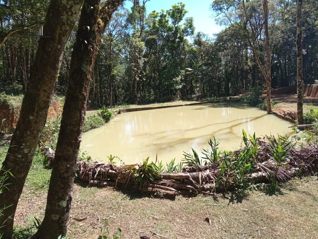 Fazenda à venda com 6 quartos, 514m² - Foto 3