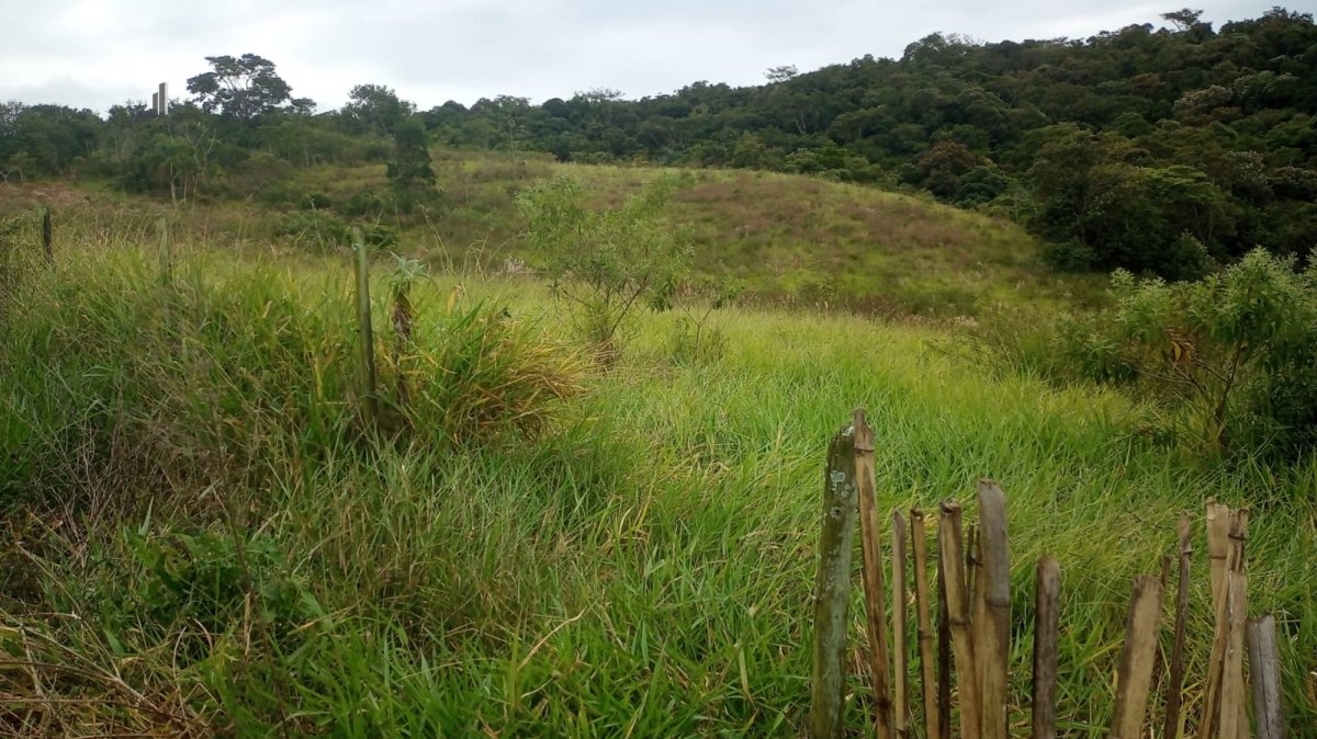 Fazenda à venda, 193600m² - Foto 8