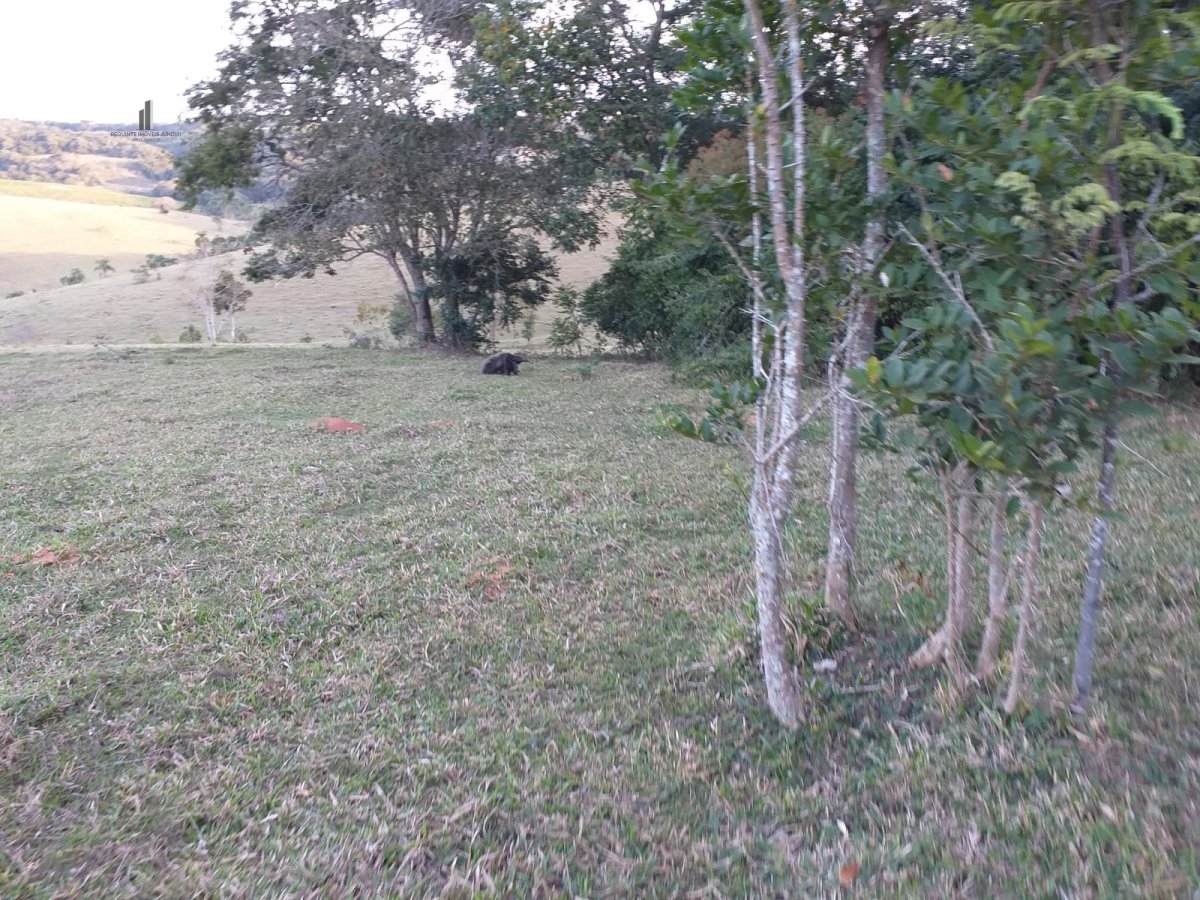 Fazenda à venda, 193600m² - Foto 5