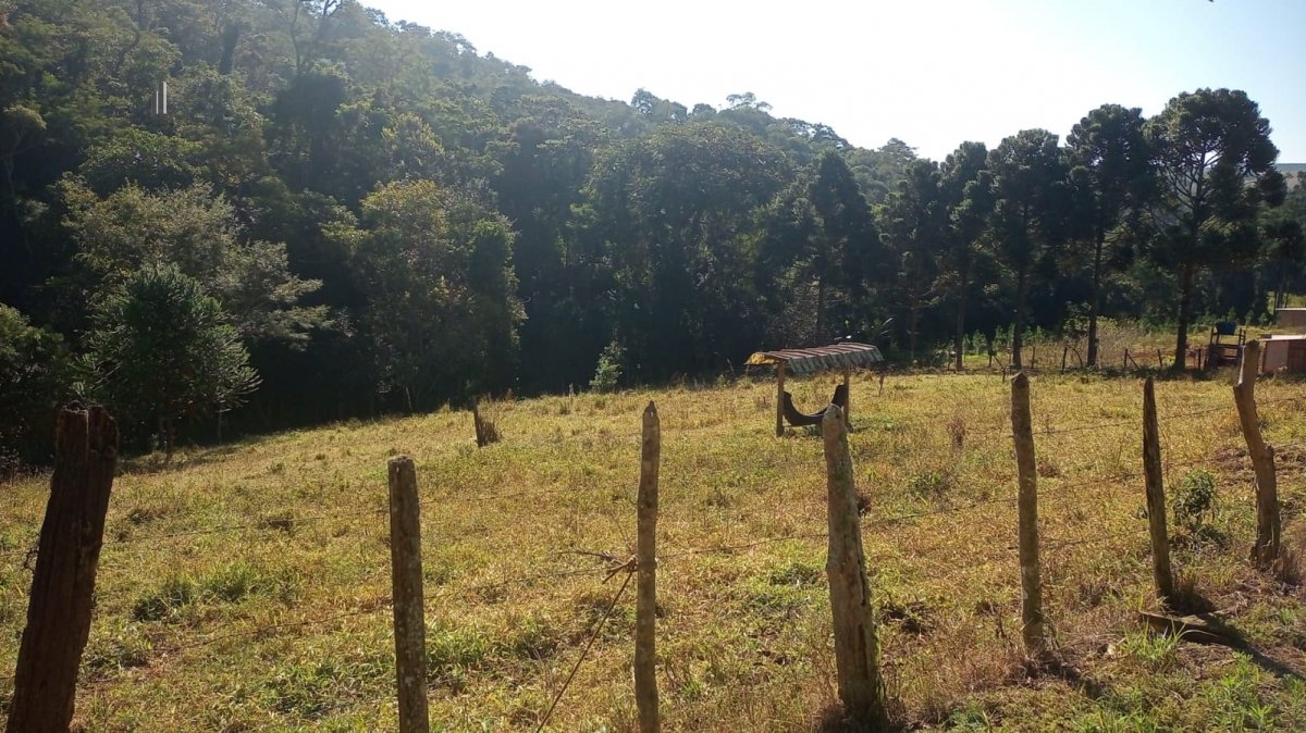 Fazenda à venda, 193600m² - Foto 14