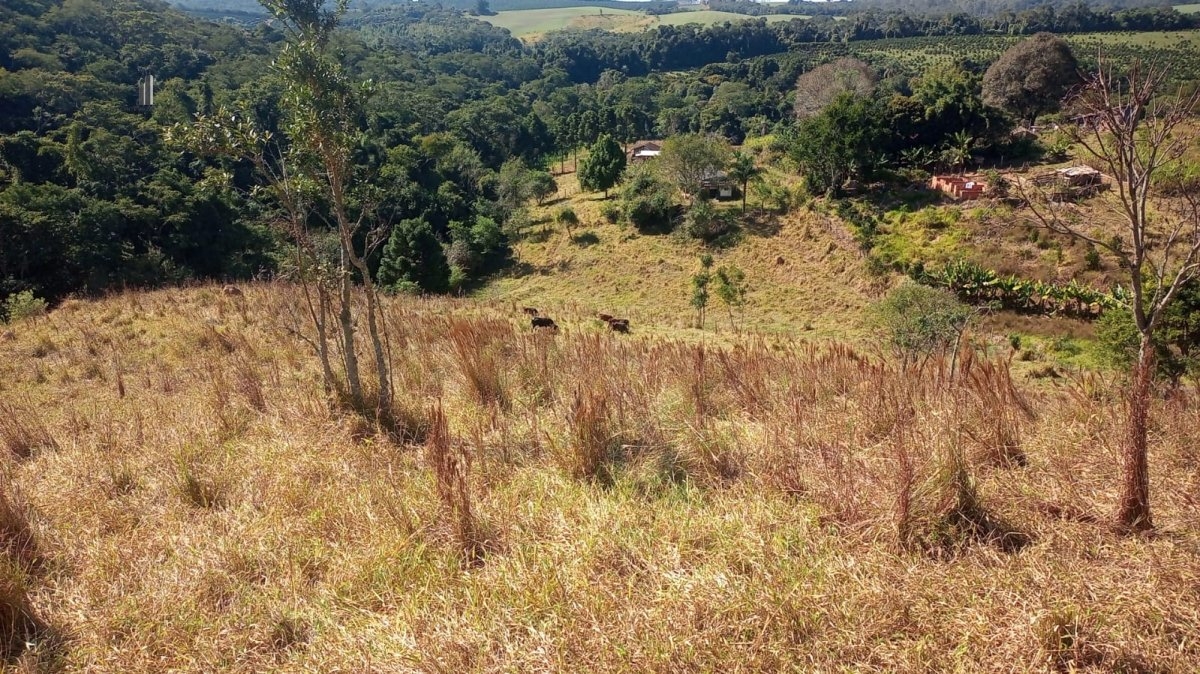 Fazenda à venda, 193600m² - Foto 16